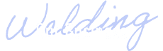 Our Business